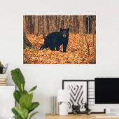 Poster Ours noir dans les bois d'automne (Bureau à domicile)