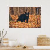 Poster Ours noir dans les bois d'automne (Cuisine)