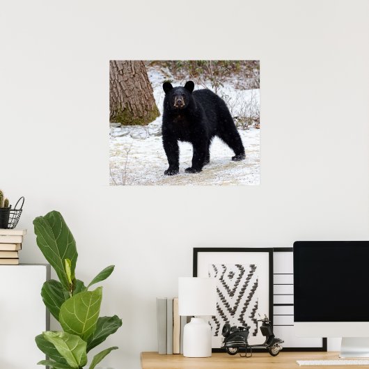 Poster Ours noir de Pennsylvanie en hiver (Bureau à domicile)