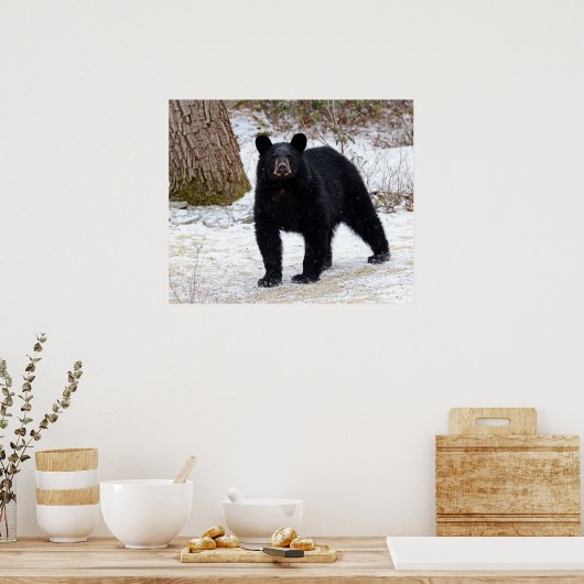 Poster Ours noir de Pennsylvanie en hiver (Cuisine)