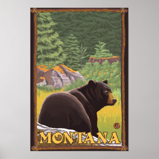 Poster Ours noir en forêt - Montana