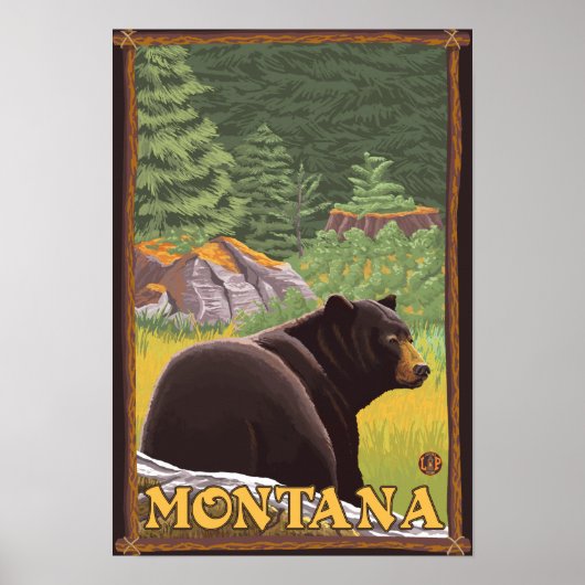 Poster Ours noir en forêt - Montana (Devant)