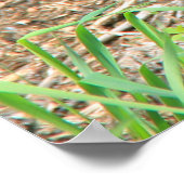 Poster Ours noir et cubes jumeaux (Coin)