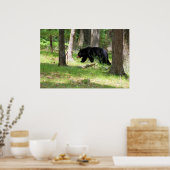 Poster Ours noir près du terrain de camping (Cuisine)