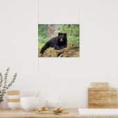 Poster Ours noir sur une vieille bille de croissance dans (Cuisine)