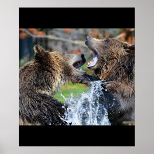 Poster Ours Ours Animaux Eau Éclaboussure Faune Nature