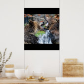 Poster Ours Ours Animaux Eau Éclaboussure Faune Nature (Cuisine)