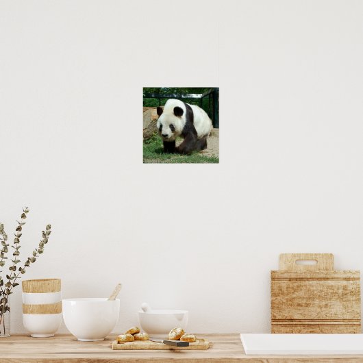 Poster Ours Panda (Cuisine)