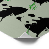 Poster Ours panda (Coin)