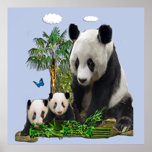 Poster Ours panda et oursons (Devant)
