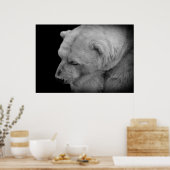 Poster Ours polaire (Cuisine)