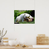 Poster Ours polaire (Cuisine)