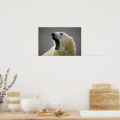 Poster Ours polaire (Cuisine)
