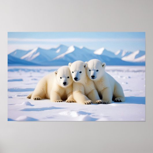 Poster Ours polaire Animal Nature Animaux Affection Faune (Devant)