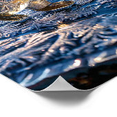 Poster Ours polaire congelé (Coin)