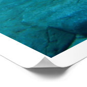 Poster Ours polaire dans l'eau (Coin)