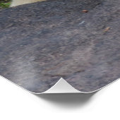 Poster Ours polaire dormant (Coin)