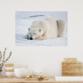 Poster Ours polaire en hiver (Cuisine)
