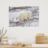 Poster Ours polaire femelle et deux petits (Cuisine)