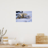 Poster Ours polaire féminin allongé avec 2 coyscubs (Cuisine)