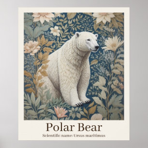 Poster Ours polaire Nom scientifique Faune