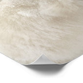 Poster Ours polaire se livrant à un combat avec un autre  (Coin)