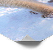 Poster Ours polaire semé avec des petits sur la banquise (Coin)