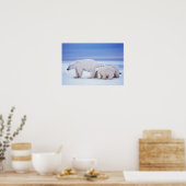 Poster Ours polaire semé avec des petits sur la banquise  (Cuisine)