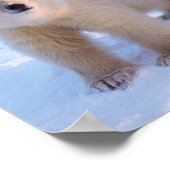 Poster Ours polaire semé avec des petits sur la glace de (Coin)