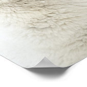 Poster Ours polaires jouant dans la neige (Coin)