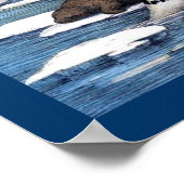 Poster Ours Polaires, Walrus Et Phoques (Coin)