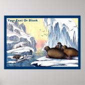 Poster Ours Polaires, Walrus Et Phoques (Devant)