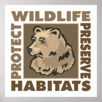 Ours - Protéger la faune Préserver les habitats