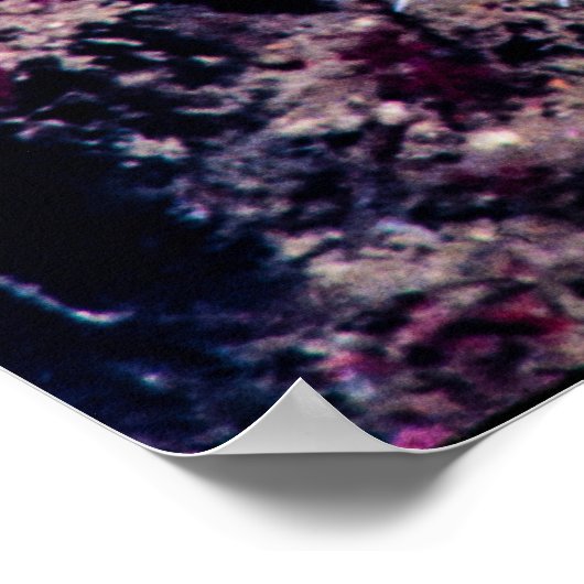 Poster oursin (Coin)