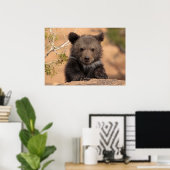 Poster Ourson grizzly (Bureau à domicile)
