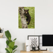 Poster Ourson noir dans un arbre (Bureau à domicile)