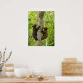 Poster Oursons de l'ours noir grimpant à l'arbre (Cuisine)