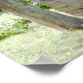 Poster Outhouse (Coin)