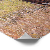 Poster Outhouse rustique à Aspen St Elmo Colorado (Coin)