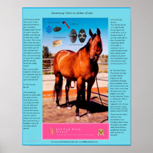 Poster Outils de toilettage pour chevaux et Comment les u