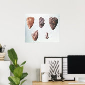 Poster Outils en pierre préhistorique, de la Grotte de (Bureau à domicile)