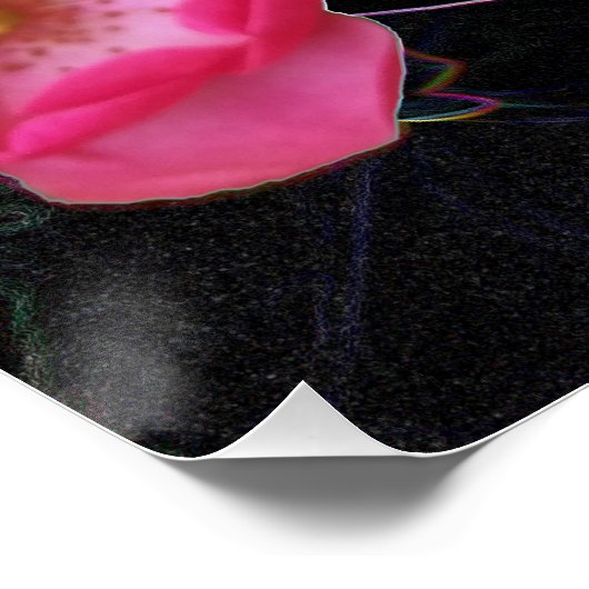 Poster ouverture de minuscule rosebud (Coin)