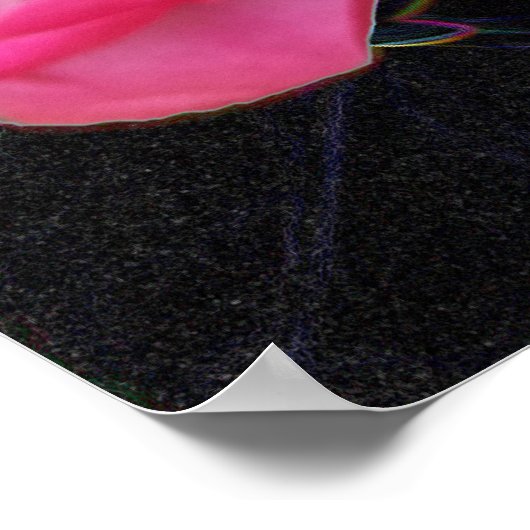 Poster ouverture de minuscule rosebud (Coin)