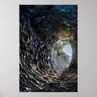 Ouverture Du Ciculaire Dans Une Grotte De Glace