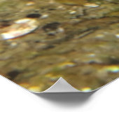 Poster Ouvrez Large ! (Coin)