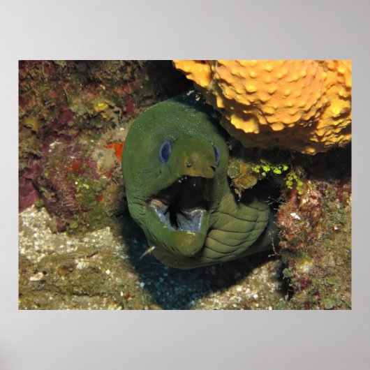 Poster Ouvrez Large ! (Devant)