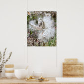 Poster Ouvrir les pots d'algues | Graines avec soie | (Cuisine)