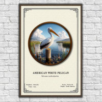 Poster over de Amerikaanse witte pelikaan in de zo