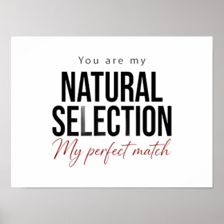 Poster over Natuurlijke Selectie Biologie Wetensch