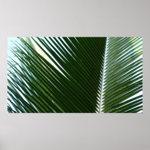 Poster Overlapping Palm Fronds Tropical Green Abstract
